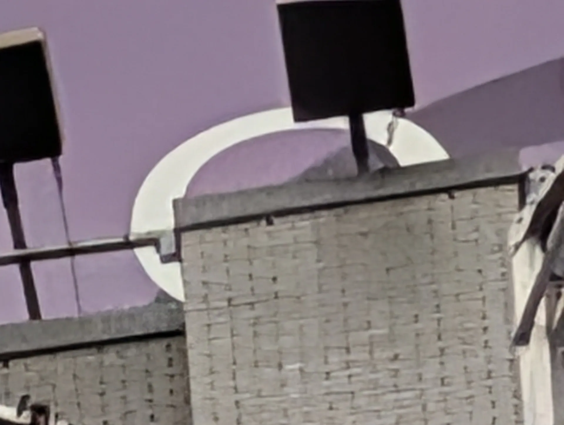 100x camera sample on the Pixel 10 Pro without AI edits