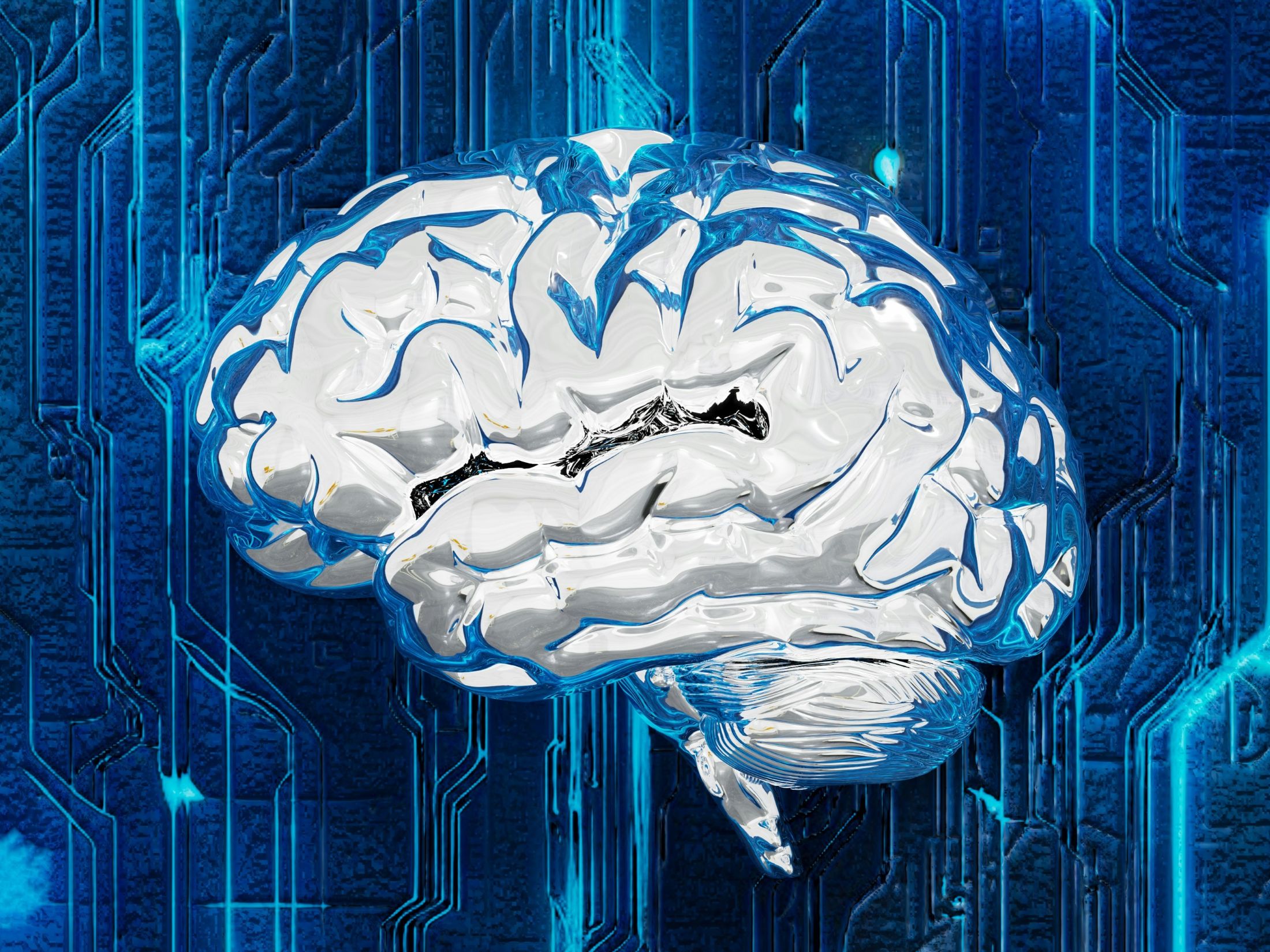 CAMIA Privacy Breach: Uncovering What AI Models Really Retain