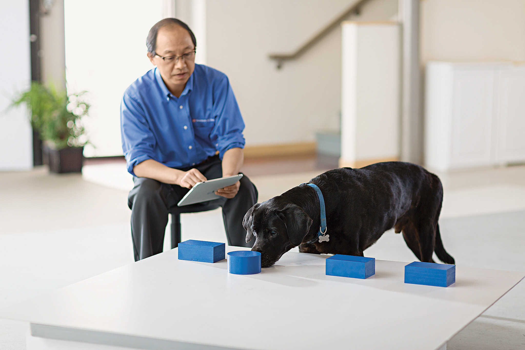 MIT Study Reveals AI Impact on Brain Activity: A Drop in Users' Cognitive Engagement