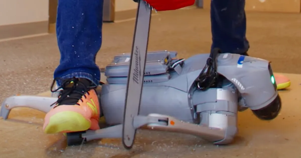 Watch a Robot Overcome Challenges After a Chainsaw Wreck – A Must-See Transformation!