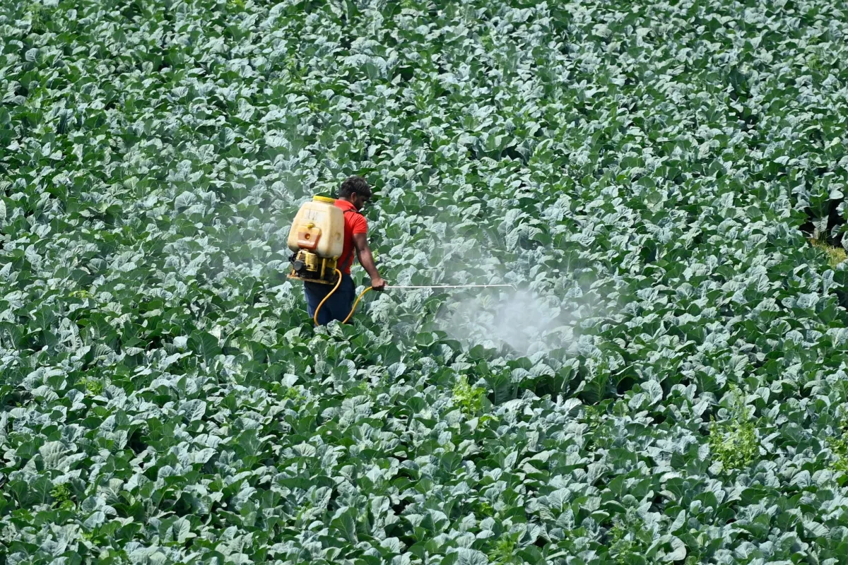 Teen Innovators Secure $6M to Revolutionize Pesticides with AI, Winning Over Paul Graham