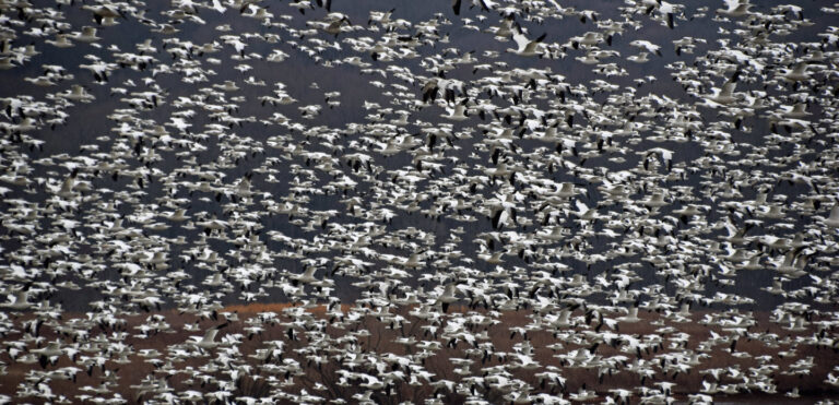 Why Quantitative Finance Graduates Are Unprepared for the AI-Driven Future