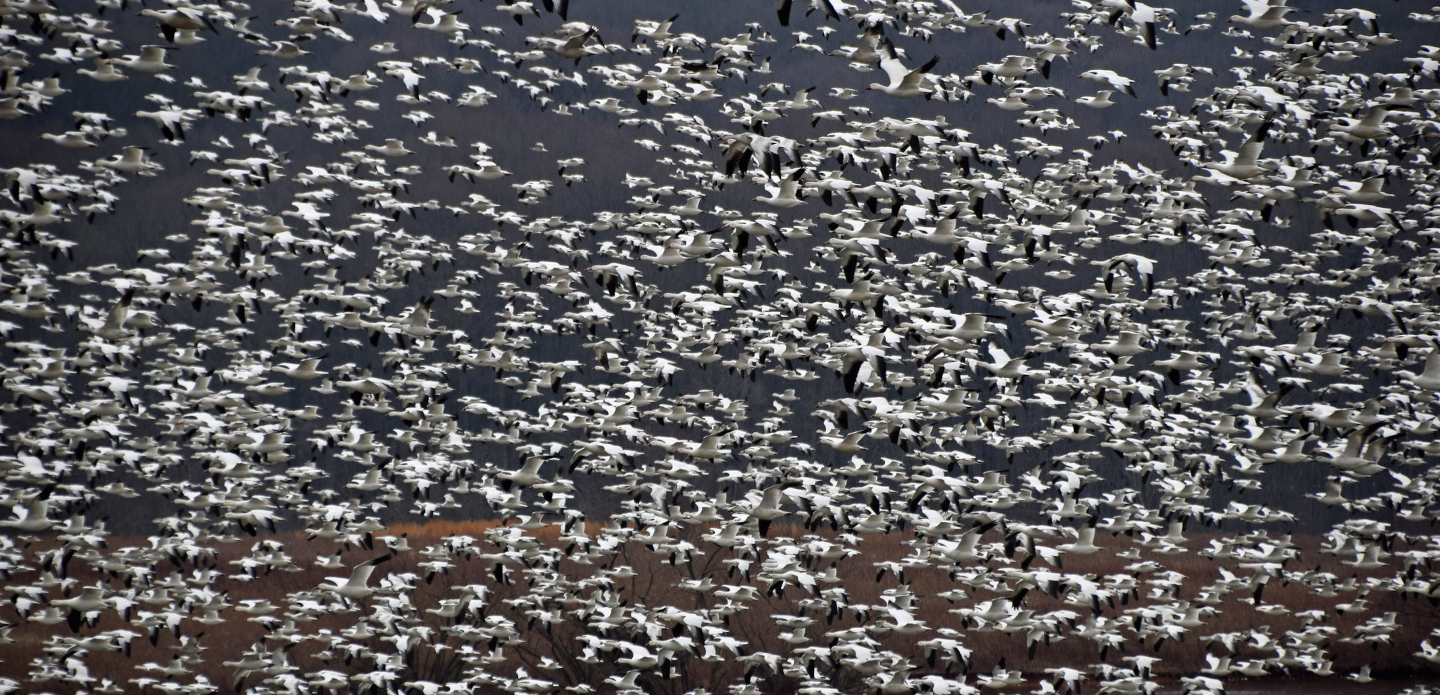 Why Quantitative Finance Graduates Are Unprepared for the AI-Driven Future