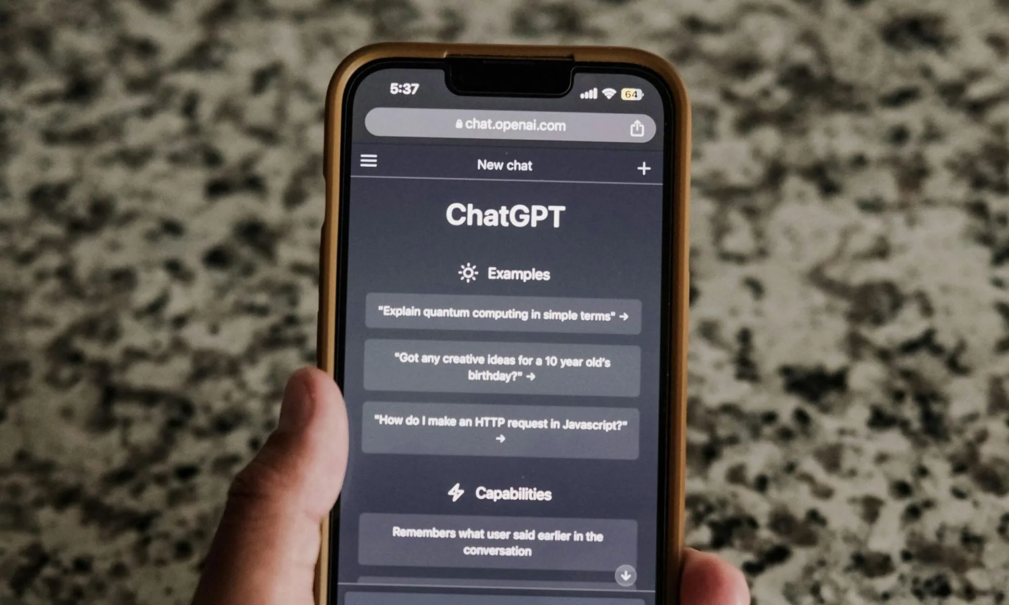 Person using ChatGPT