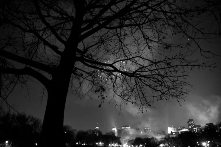 How Retailers Are Enhancing User Experience with Conversational AI and Advanced Analytics