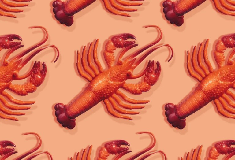 Ultimate Guide to Clawdbot (Now Moltbot): Your Complete Resource on Viral Personal AI Assistants