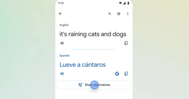 Google Translate Now Understands the Phrase 'Raining Cats and Dogs': A Breakthrough in Language Translation
