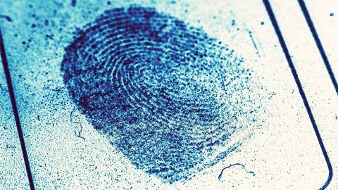 Fingerprint Unveils Innovative Ecosystem for Identifying Authorized Agentic AI Online