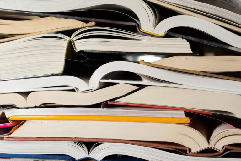 Publisher Withdraws Horror Novel 'Shy Girl' Amid Rising AI Controversies