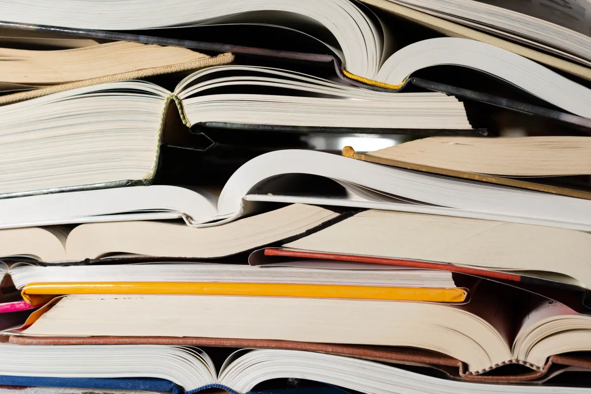 Publisher Withdraws Horror Novel 'Shy Girl' Amid Rising AI Controversies