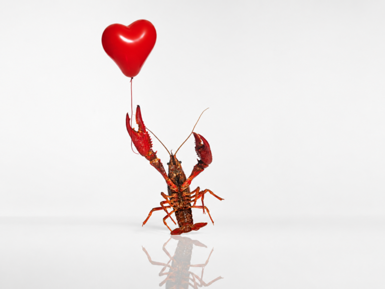 Discover How OpenClaw is Revolutionizing the Dating Experience