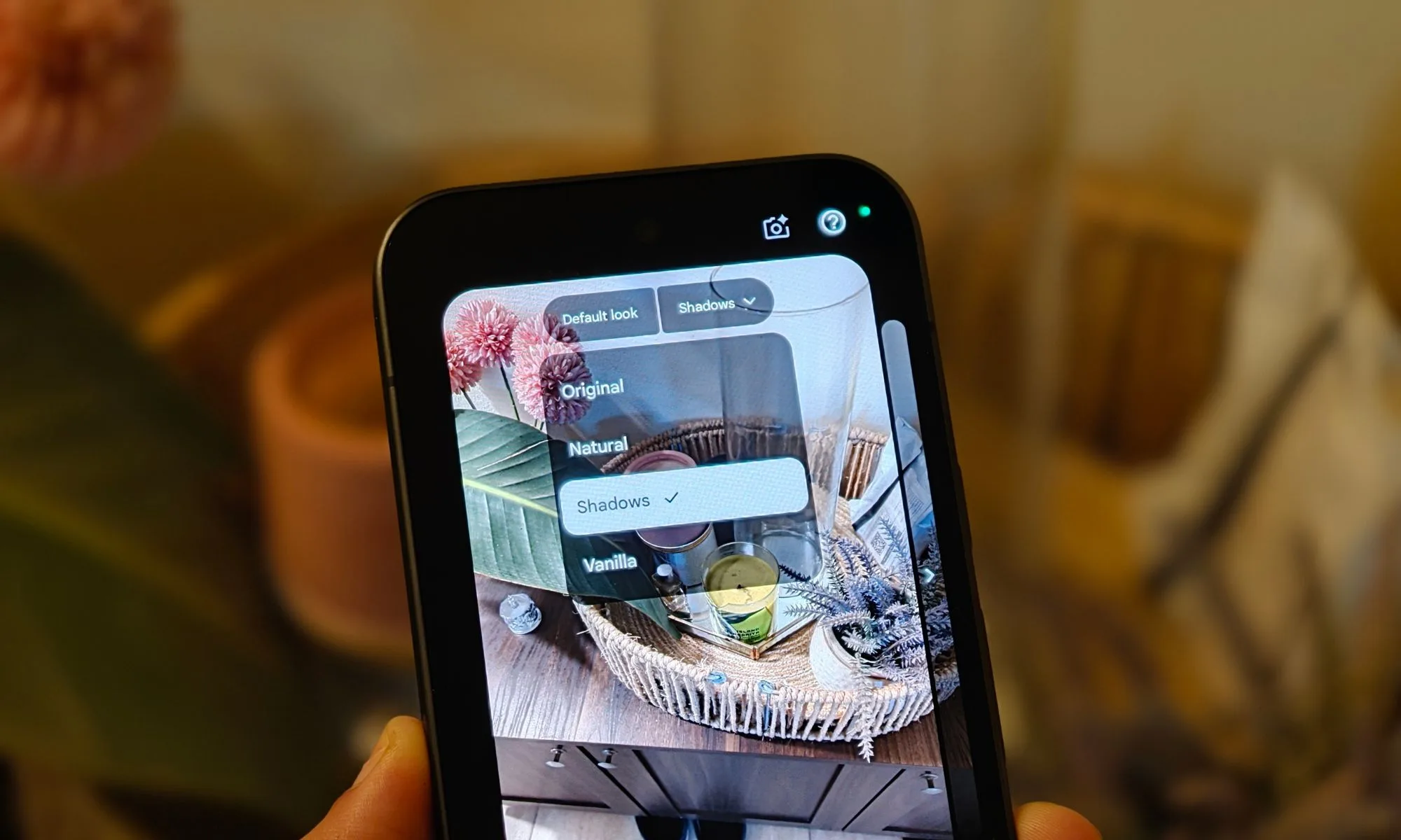 Camera Looks Feature on Google Pixel 11