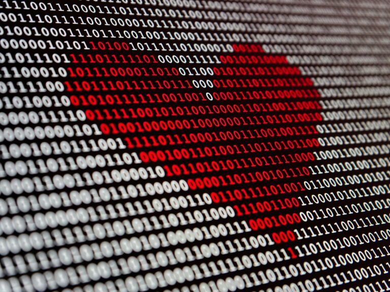Adapting Health AI Interfaces for All Expertise Levels: A Key to Enhanced User Experience