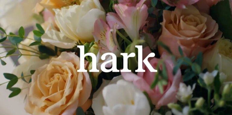 Discover Hark's Innovative Browser Agent for Effortless Task Completion