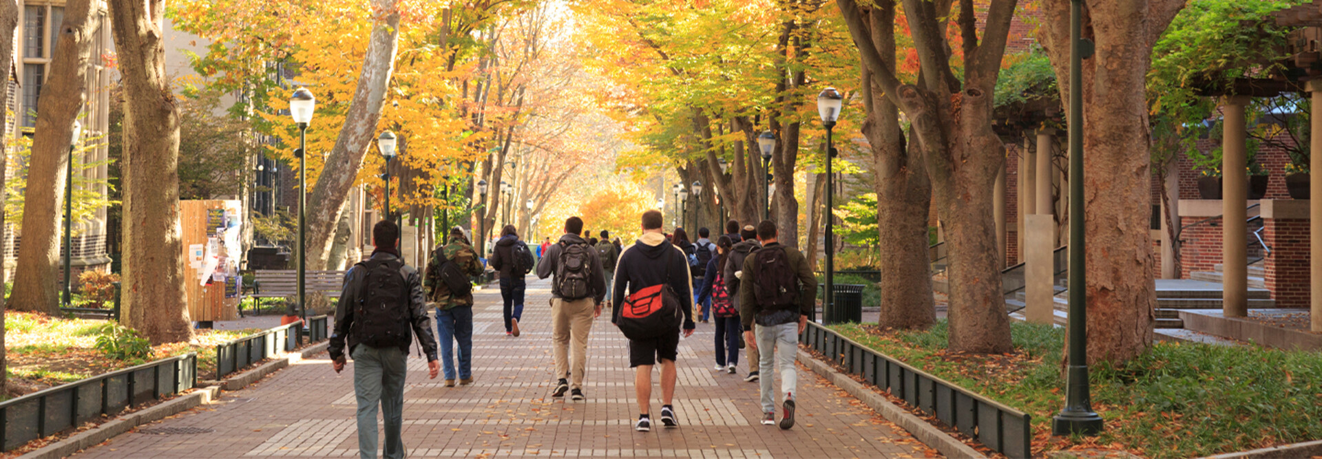 Embracing Innovation: Strategies for Campus IT Leaders to Thrive Amid AI Resistance