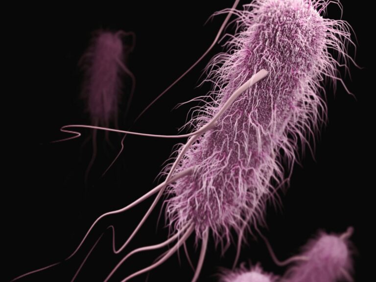 Revolutionary Stanford Evo 2 AI Model Develops Phages to Combat E. coli Infections