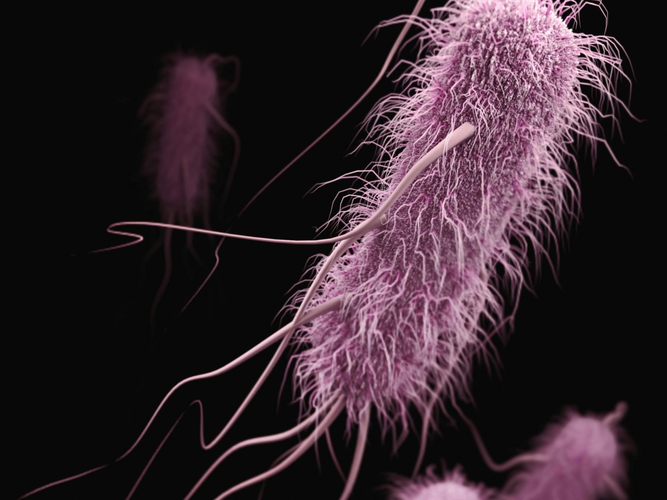Revolutionary Stanford Evo 2 AI Model Develops Phages to Combat E. coli Infections